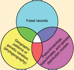 Climate refugia: joint inferences from fossils, genetics and models