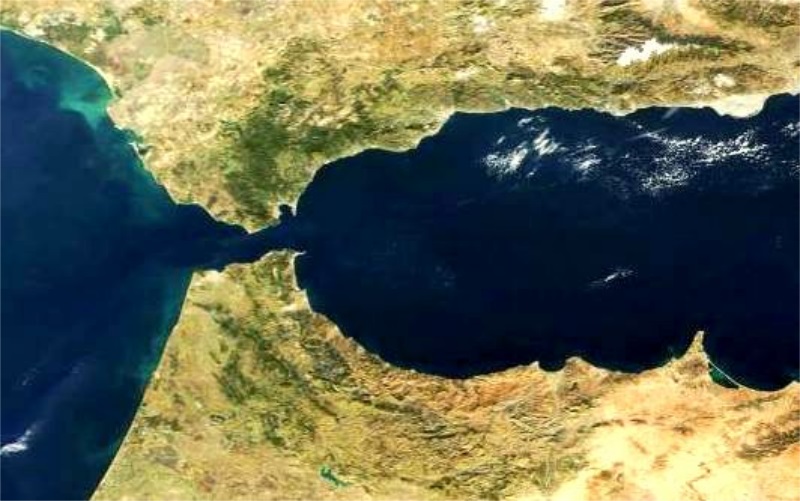 The Strait of Gibraltar as a melting pot for plant biodiversity ...